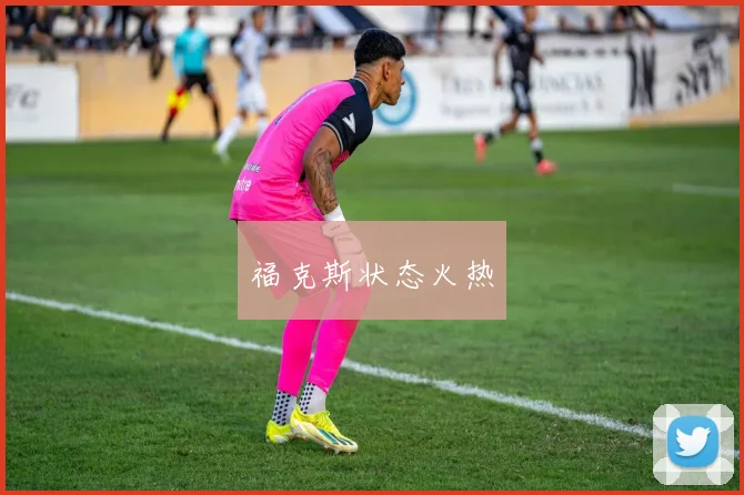 福克斯状态火热