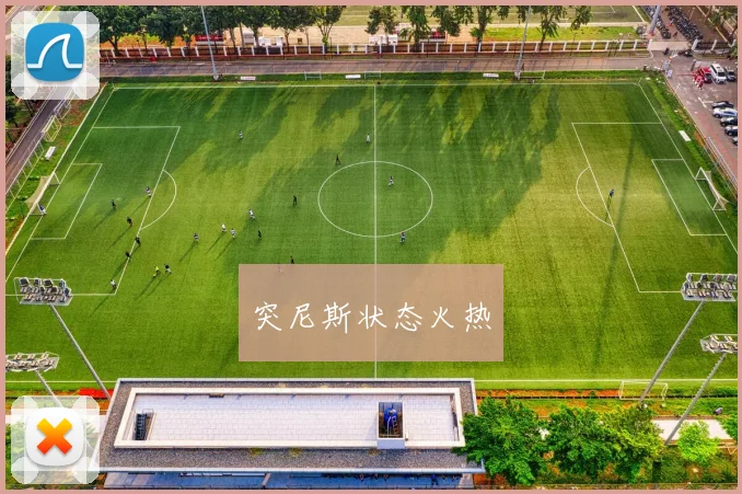 突尼斯状态火热