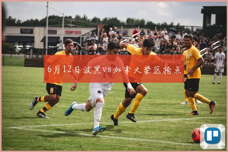 6月12日波黑vs加拿大禁区抢点